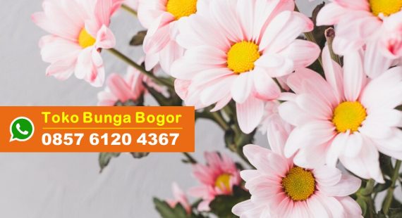 Simak Di Sini Arti Bunga yang Melambangkan Persahabatan dan Cinta